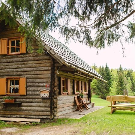Wood House Irena-Pocitniska Hisa Villa Bohinj Exterior photo